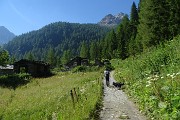 10 Verso Forbesina